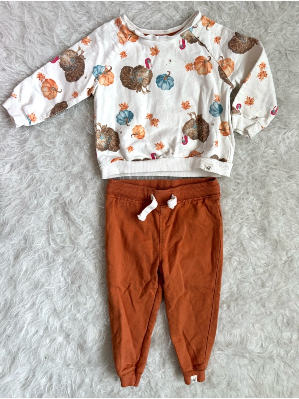 Burt's Bees Baby Gender Neutral Rust Orange Festive Thanksgiving Outfit